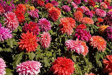 《浩劫前夕》Steam抢先体验全球解锁时间公布