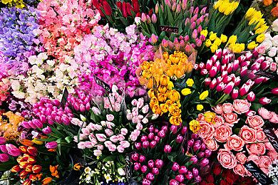 悬疑推理游戏《揭开铁证》现已上架Steam平台 2024年第二季度推出